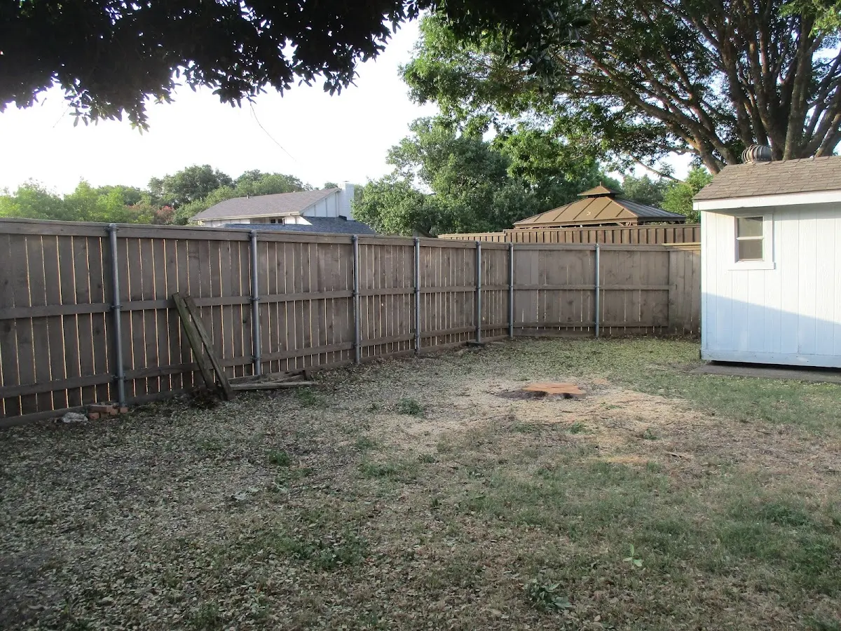 Cleared yard after professional tree removal in Lake Stevens
